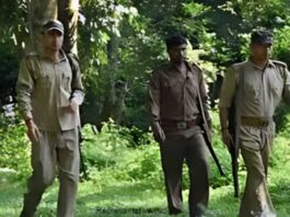 বনরক্ষী নিয়োগের নিয়মে বড়সড় পরিবর্তন আনল রাজ্য সরকার
