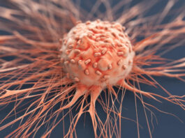 Smokeless Tobacco and Areca Nut Linked to Rising Oral Cancer Cases in India: Lancet Study