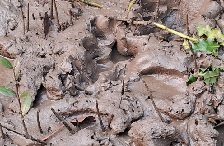 Screenshot_20250107-172200~2