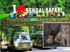 বেঙ্গল সাফারি