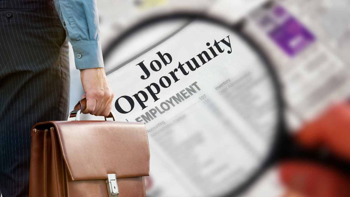 job search