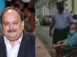 মেহুল চোক্সী গ্রেফতার