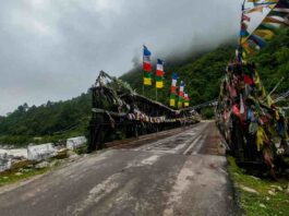 বিকল্প সড়ক