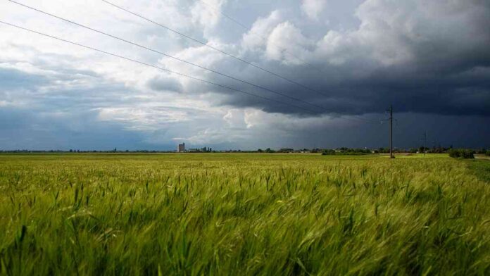 ভারী বৃষ্টির সম্ভাবনা