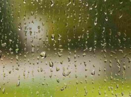 rain drop on glass