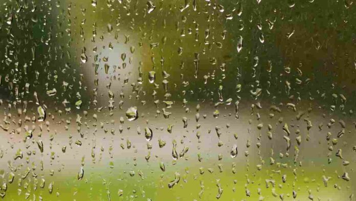 rain drop on glass