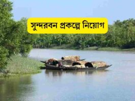 Sundarbans mangrove forest image related to WAPCOS research project recruitment