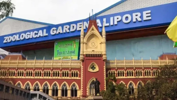 Alipur Zoo and Calcutta High Court