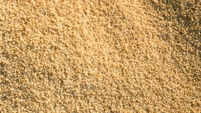 poppy seeds benefits-of-poppy-seeds