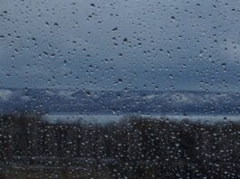 heavy-rain-alert