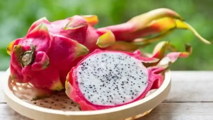 dragon fruit