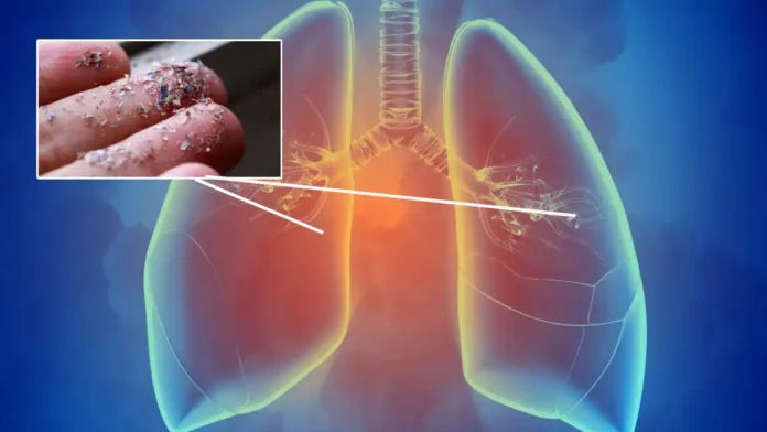 lung and plastic