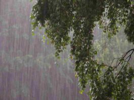 Rain today
