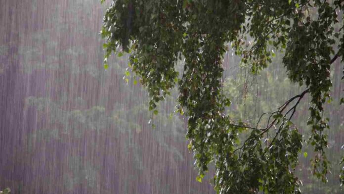 Rain today
