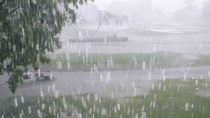 rain Bengal