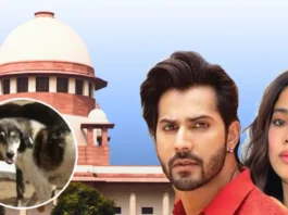 SC stray dog relocation order, Celebrities react