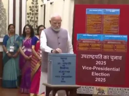 Vice President Election 2025