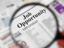 community auditor job