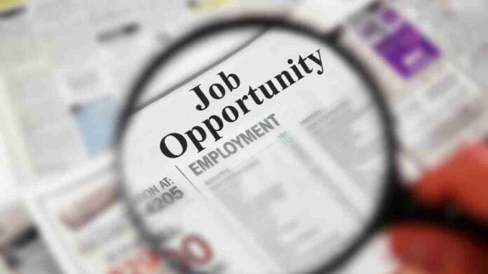 community auditor job