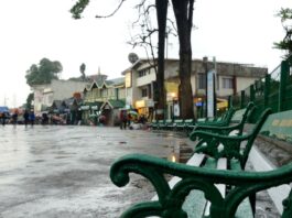Darjeeling Tour