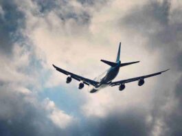 flight