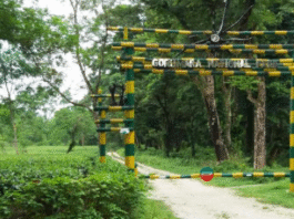 Gorumara Safari