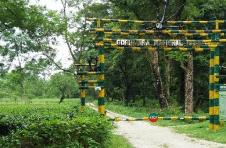 Gorumara Safari