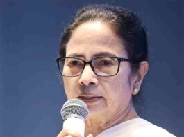 mamata