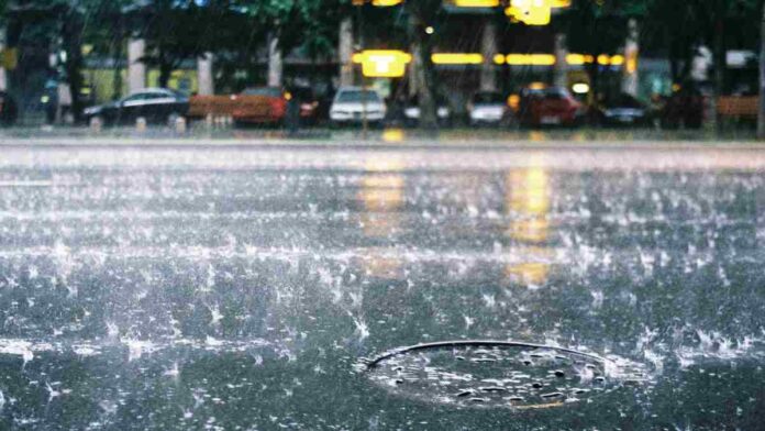 North Bengal Rain,