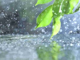 rain update