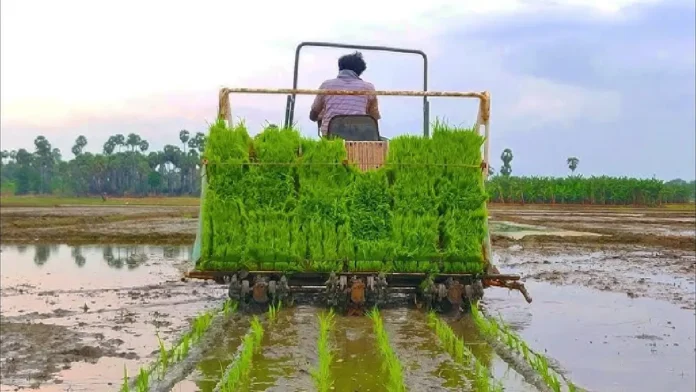 agriculture in india 25.10