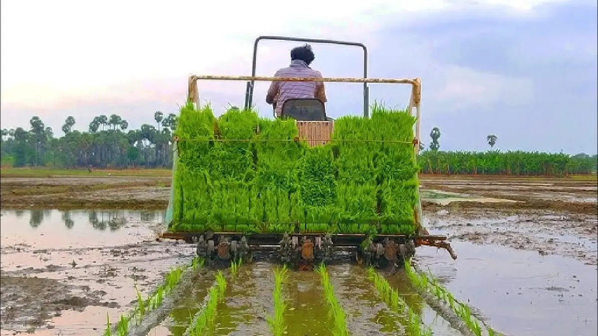 agriculture in india 25.10