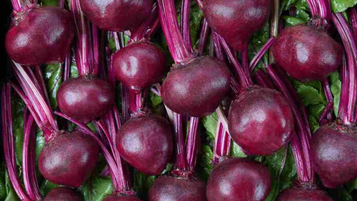 Beetroot Benefits