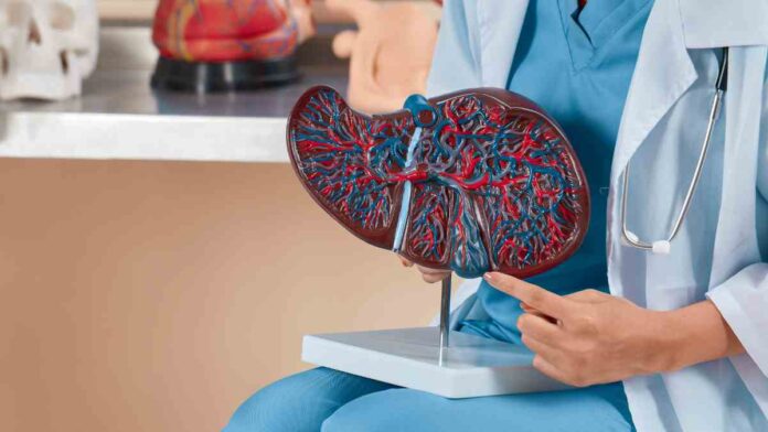 fatty liver