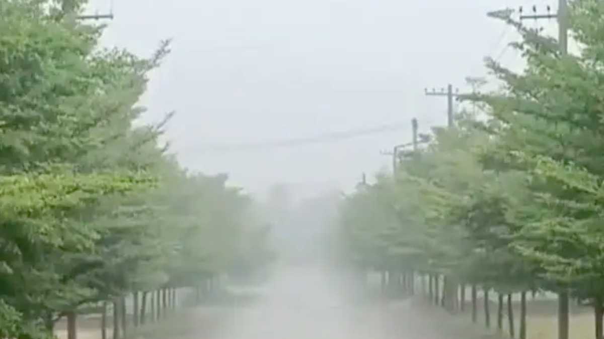 mantha mantha cyclone update