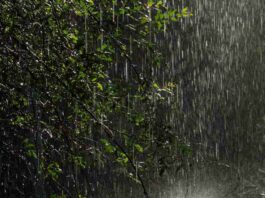 rain