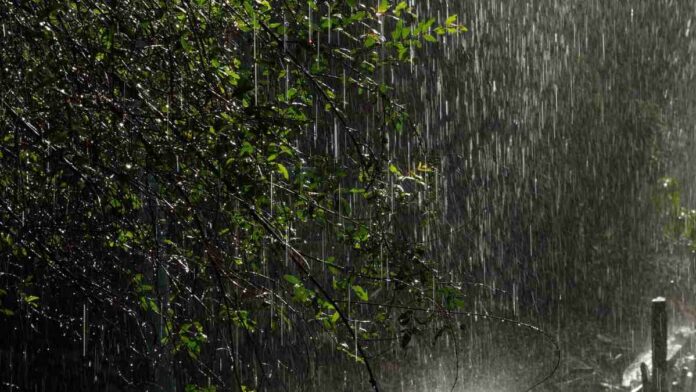 rain