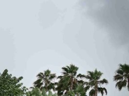 rain update