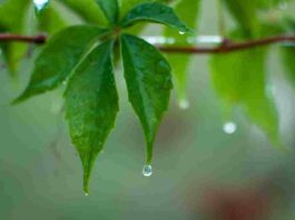 rain in Kolkata