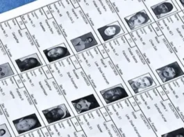 voter list
