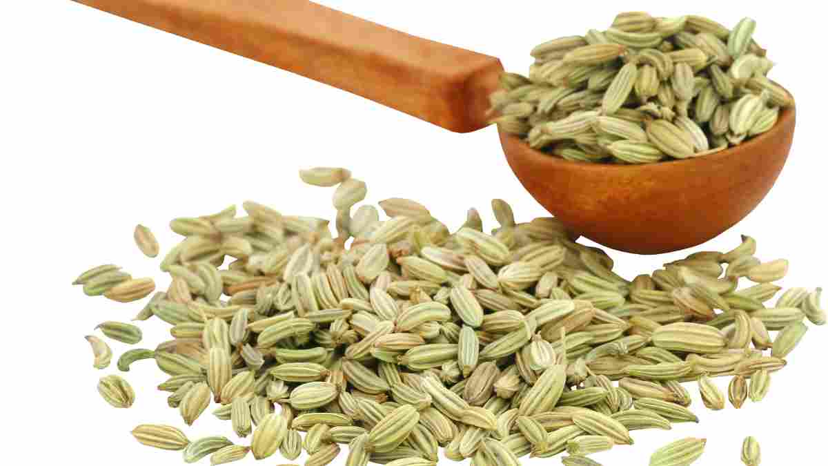 Fennel Seeds