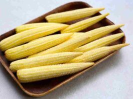 baby corn