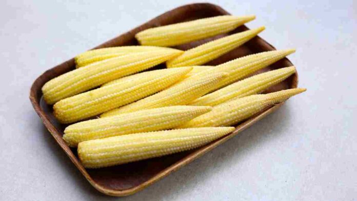 baby corn